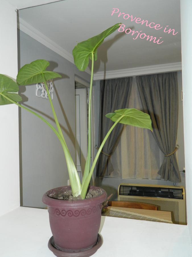 Nikas Guest House Borjomi Exterior photo